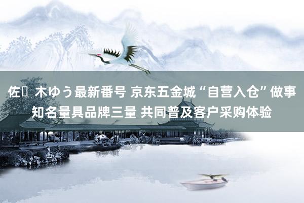 佐々木ゆう最新番号 京东五金城“自营入仓”做事知名量具品牌三量 共同普及客户采购体验