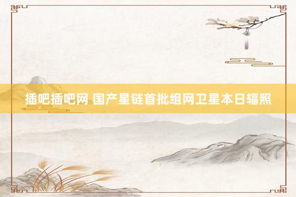 插吧插吧网 国产星链首批组网卫星本日辐照