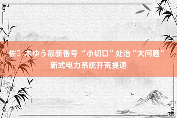 佐々木ゆう最新番号 “小切口”处治“大问题” 新式电力系统开荒提速