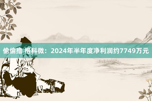 偷偷撸 格科微：2024年半年度净利润约7749万元