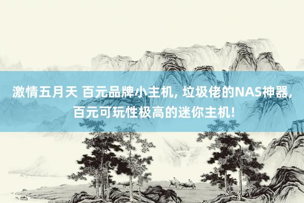 激情五月天 百元品牌小主机， 垃圾佬的NAS神器， 百元可玩性极高的迷你主机!