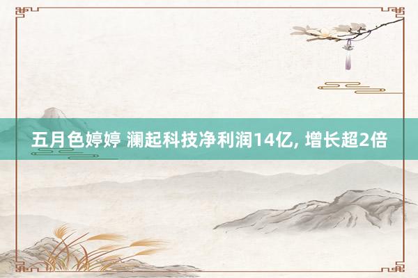 五月色婷婷 澜起科技净利润14亿， 增长超2倍