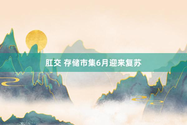 肛交 存储市集6月迎来复苏
