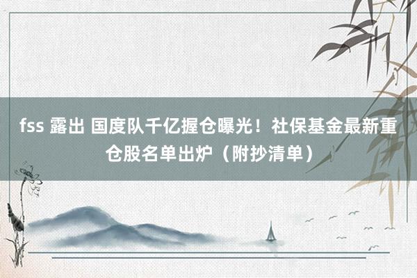 fss 露出 国度队千亿握仓曝光！社保基金最新重仓股名单出炉（附抄清单）