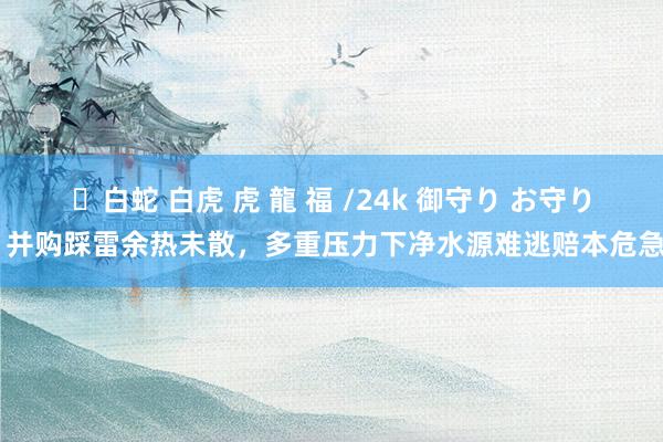 ✨白蛇 白虎 虎 龍 福 /24k 御守り お守り 并购踩雷余热未散，多重压力下净水源难逃赔本危急