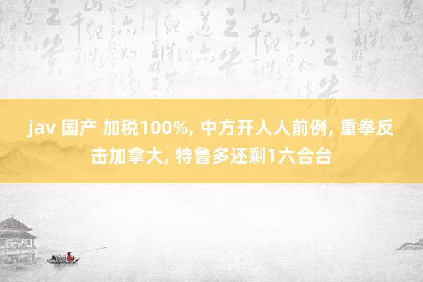 jav 国产 加税100%， 中方开人人前例， 重拳反击加拿大， 特鲁多还剩1六合台