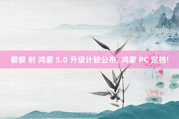狠狠 射 鸿蒙 5.0 升级计较公布， 鸿蒙 PC 定档!