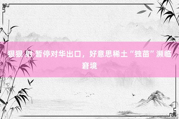 狠狠 射 暂停对华出口，好意思稀土“独苗”濒临窘境