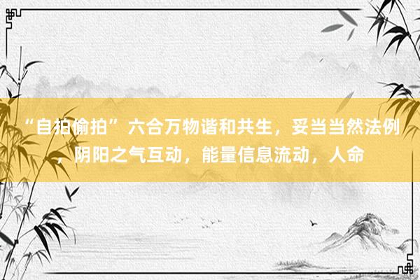 “自拍偷拍” 六合万物谐和共生,妥当当然法例,阴阳之气互动,能量信息流动,人命