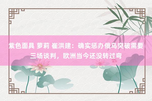 紫色面具 萝莉 崔洪建：确实惩办俄乌突破需要三场谈判，欧洲当今还没转过弯